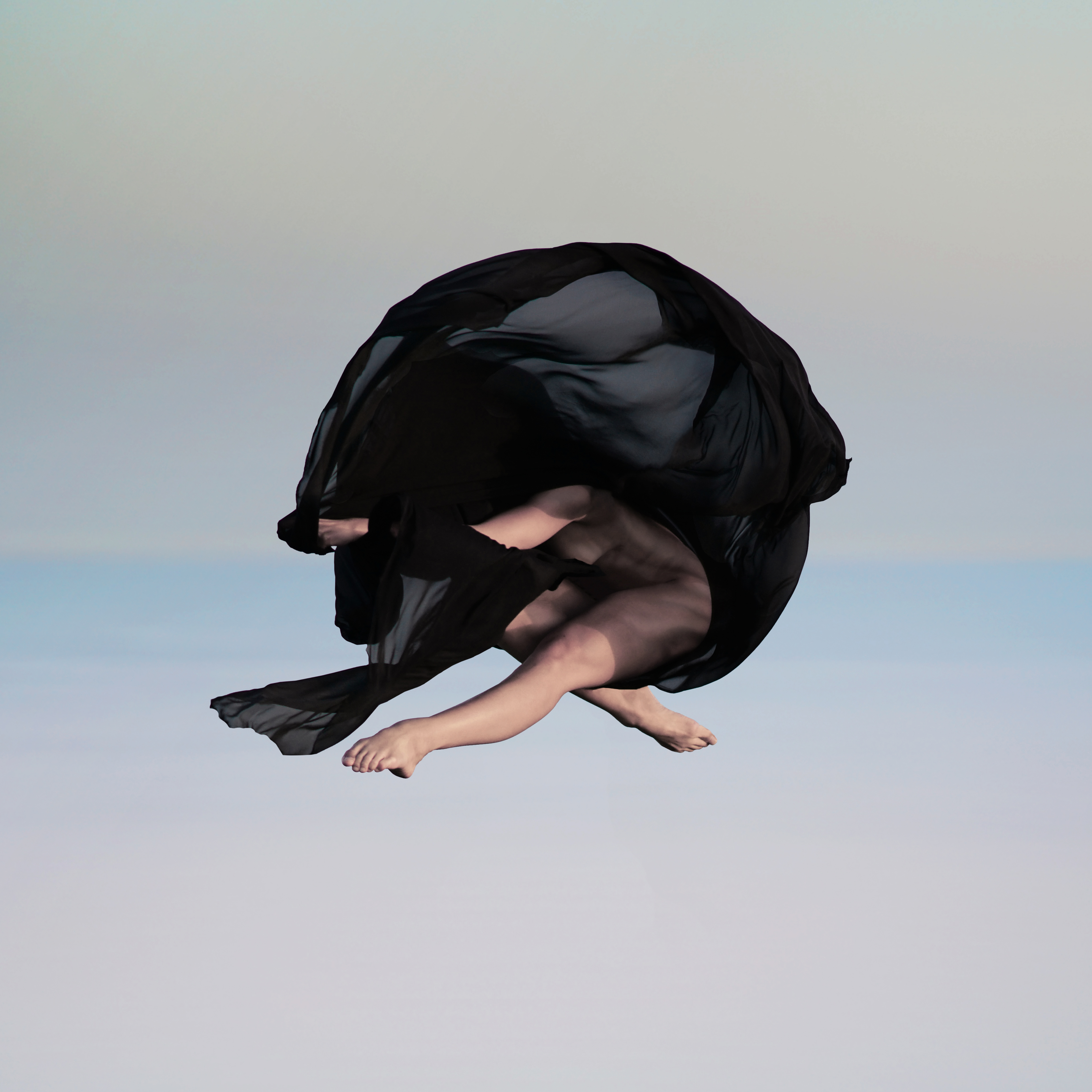 Wing avatar